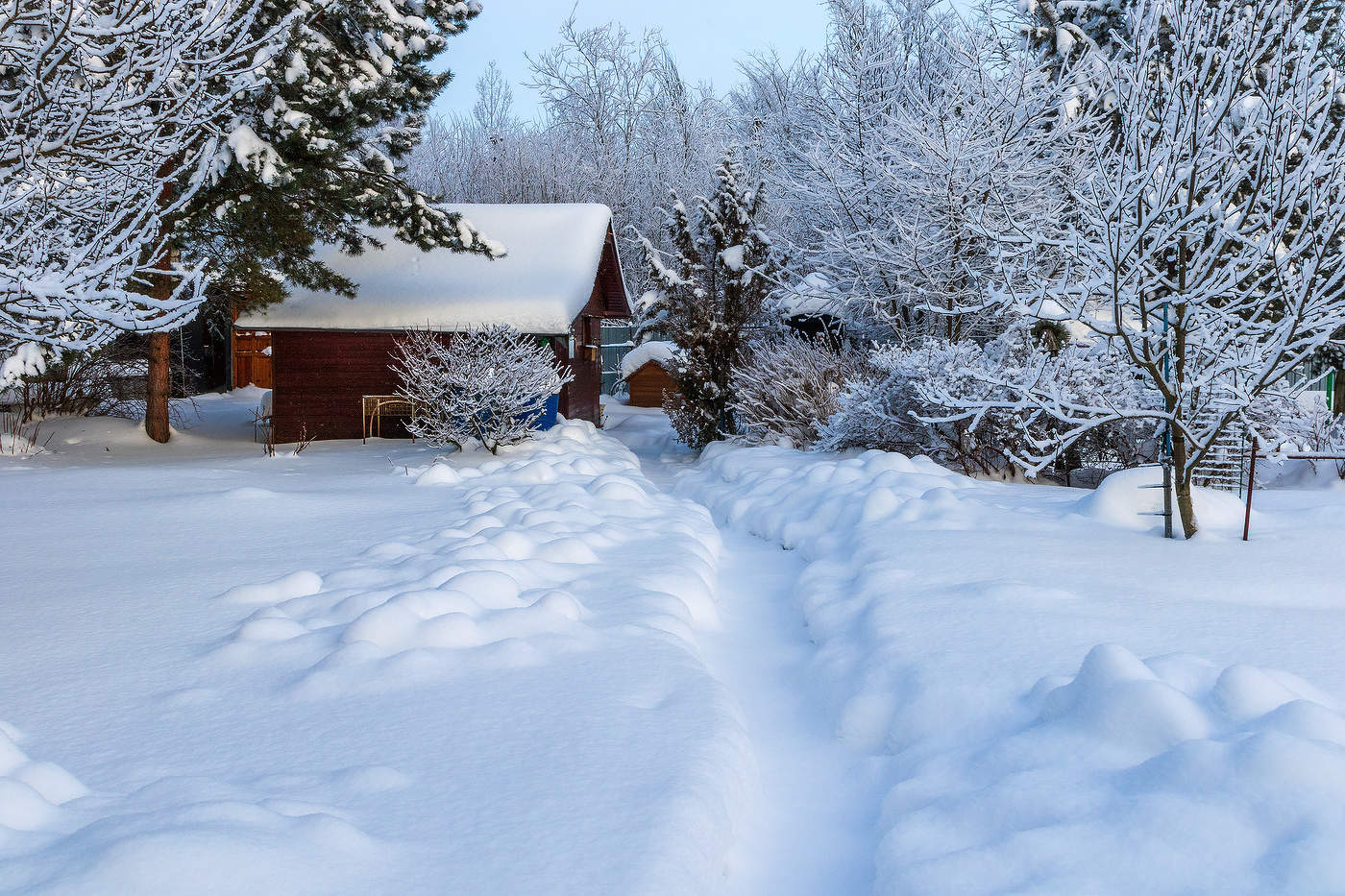 С нежность.