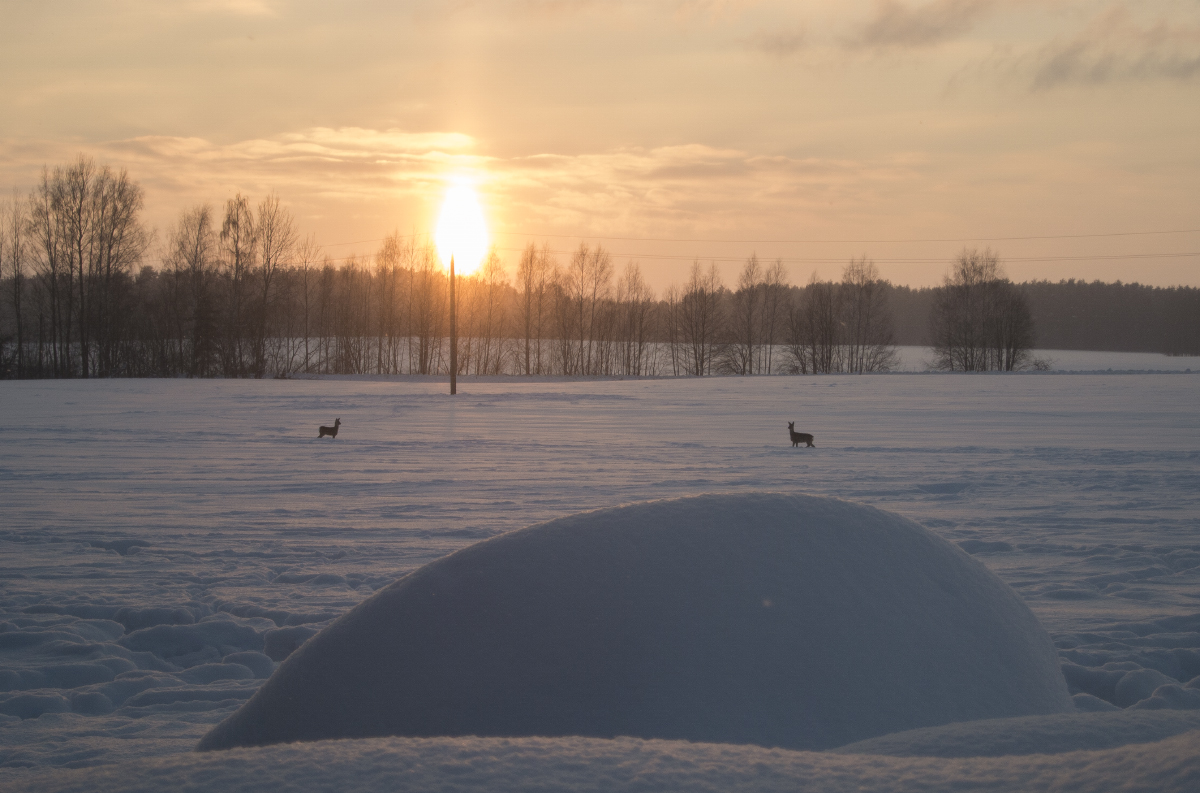 Встретились как-то двое