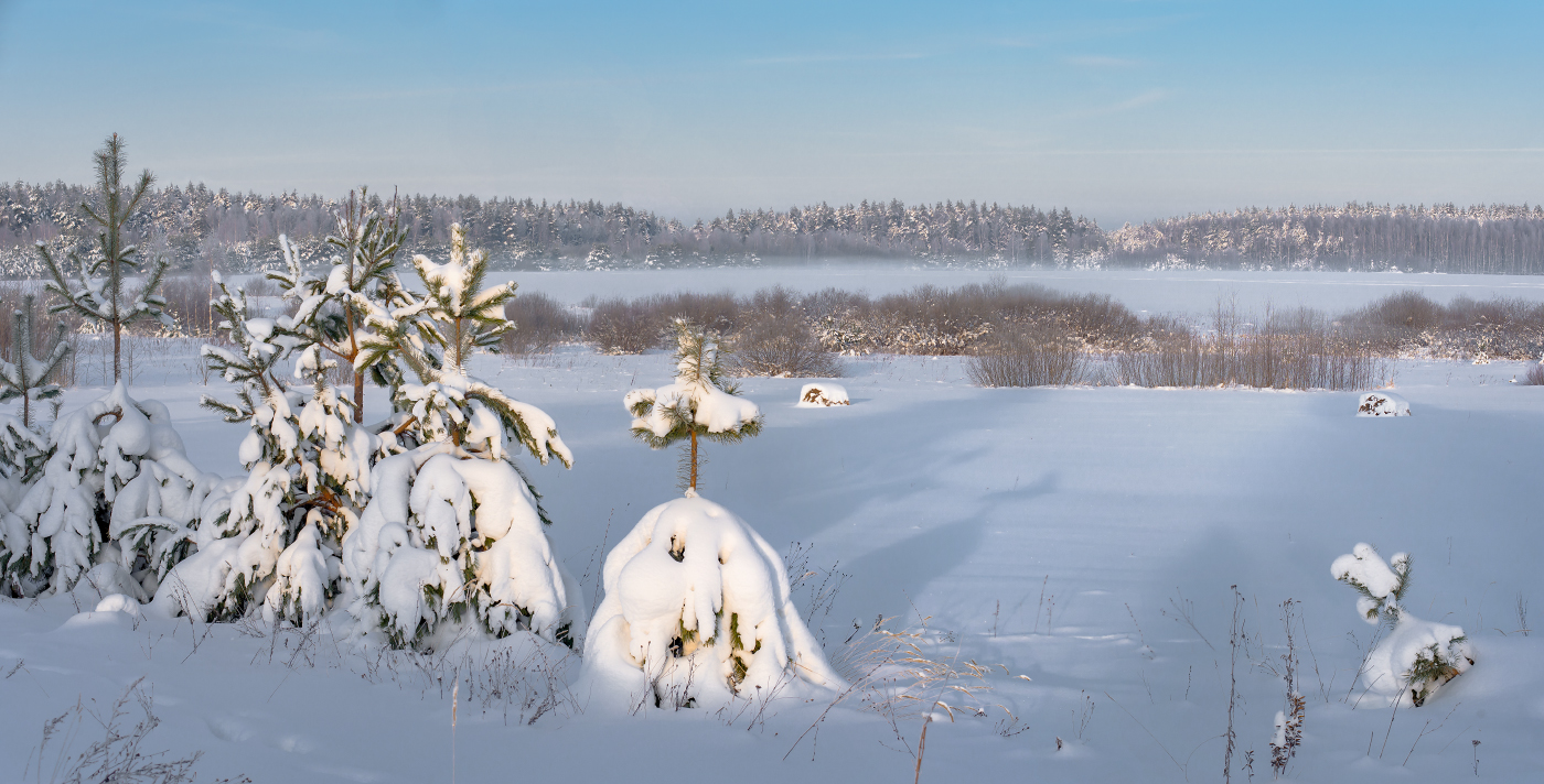 Начинается день. Воронино.