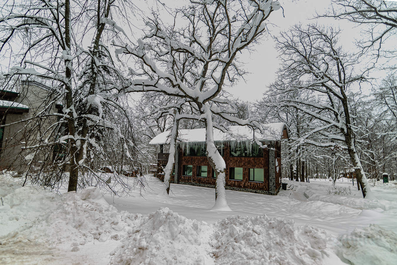 снежная зима