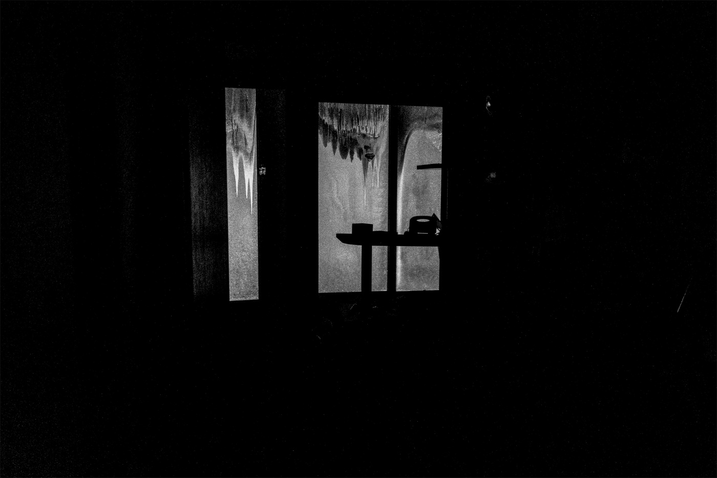 Жизнь вокруг