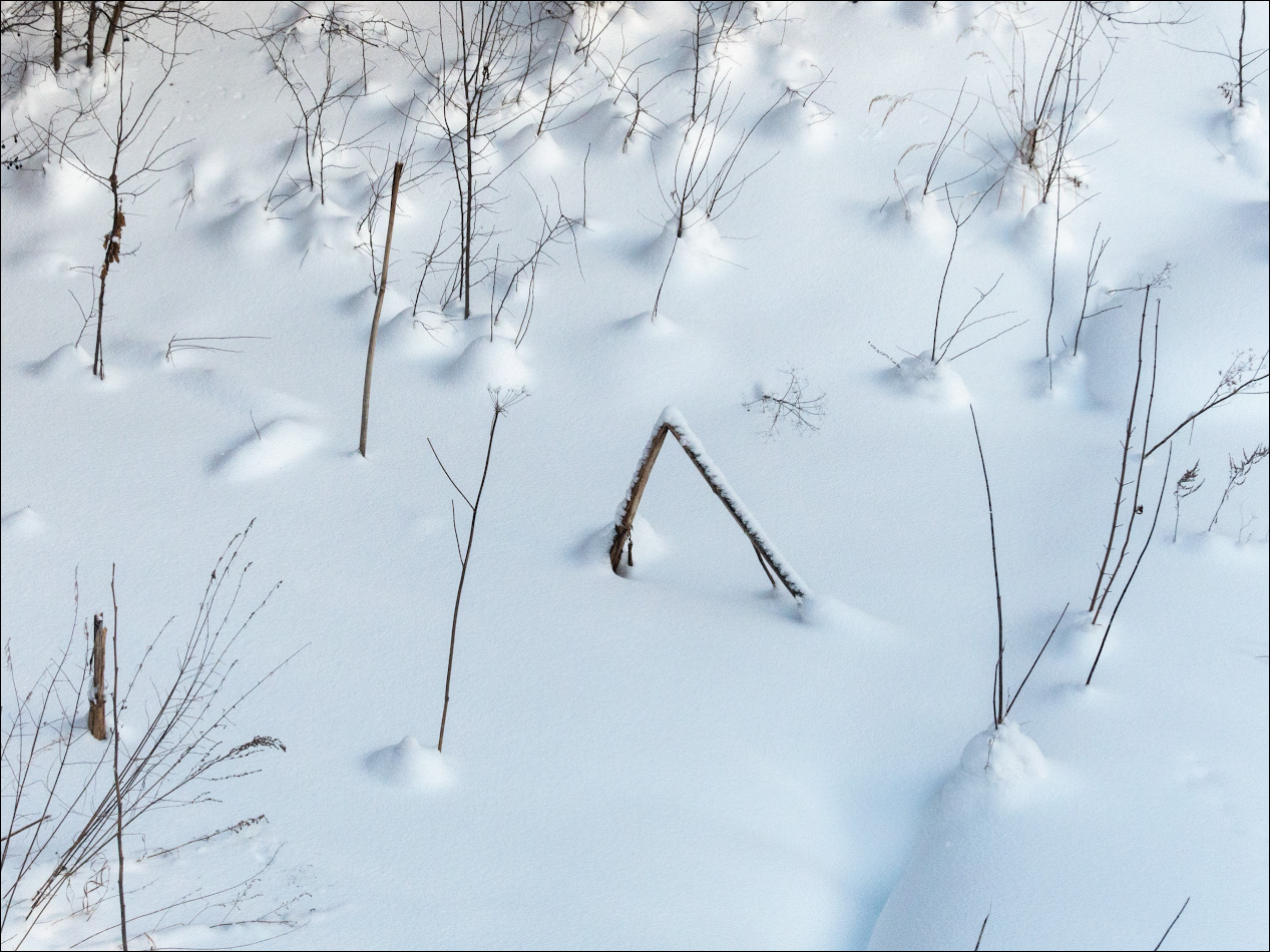кочки зрения