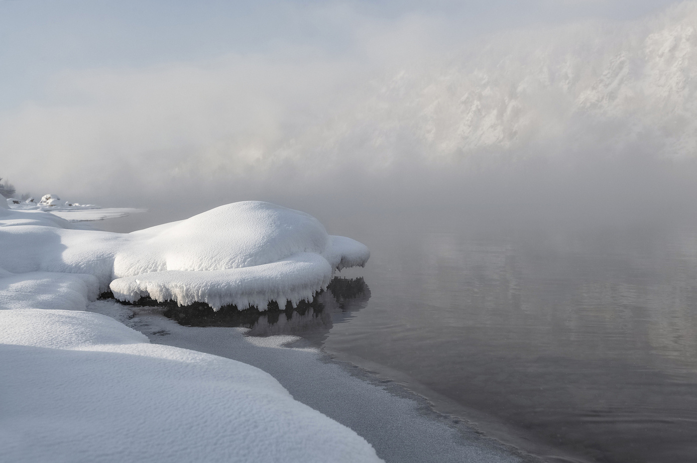 Снежная черепашка