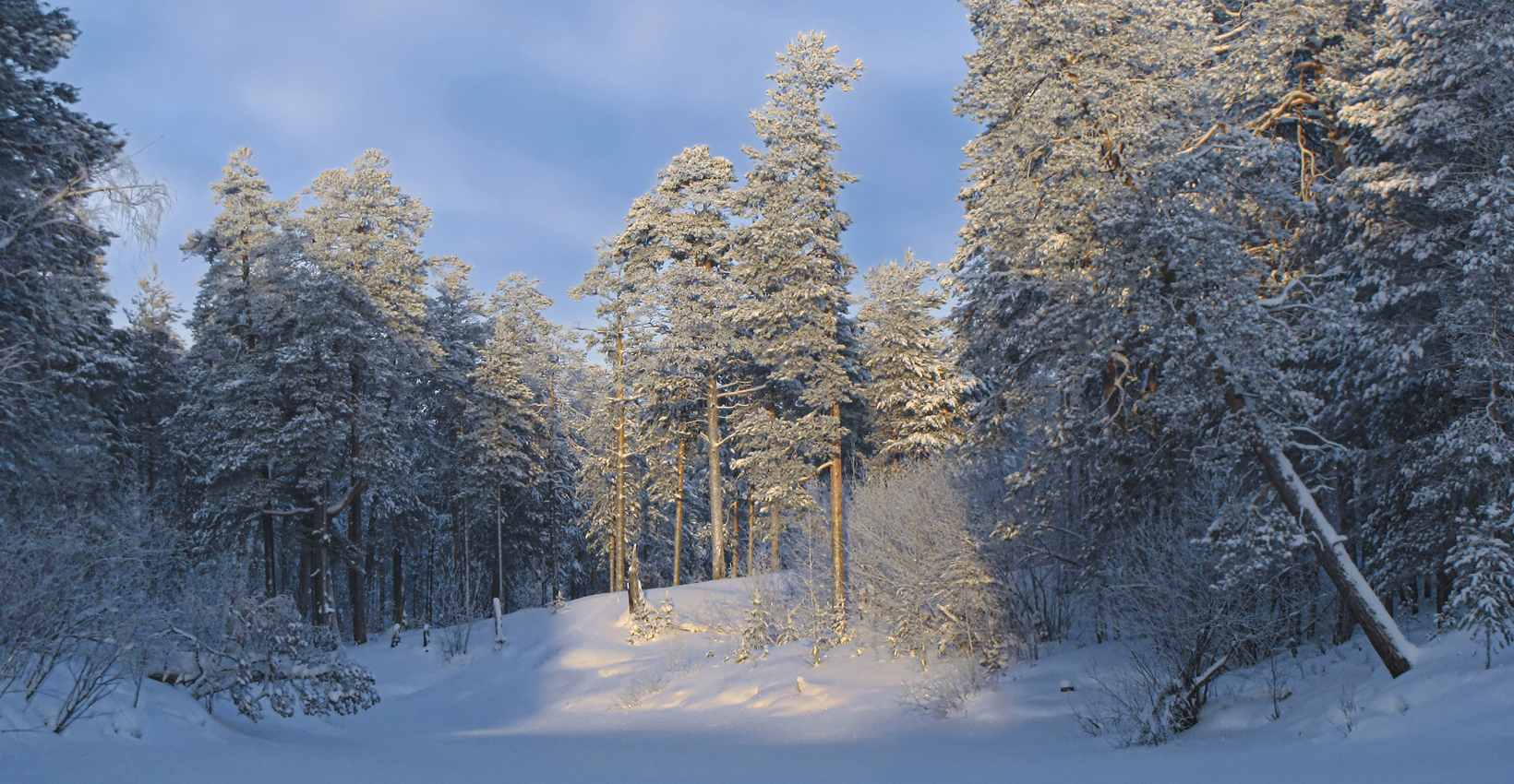 Увы, не греет солнышко зимой...)