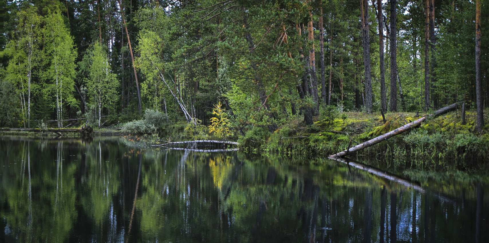 Здесь воздух пахнет хвоей.... и свежестью лесной...