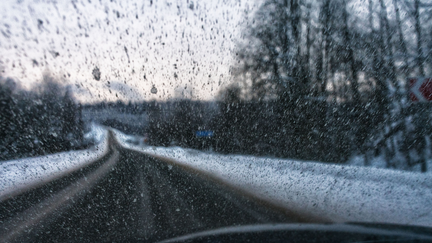 Жизнь вокруг