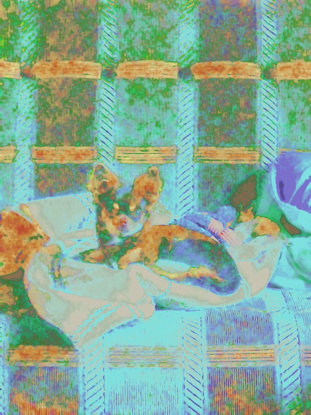 Цветной портрет команды "Место"