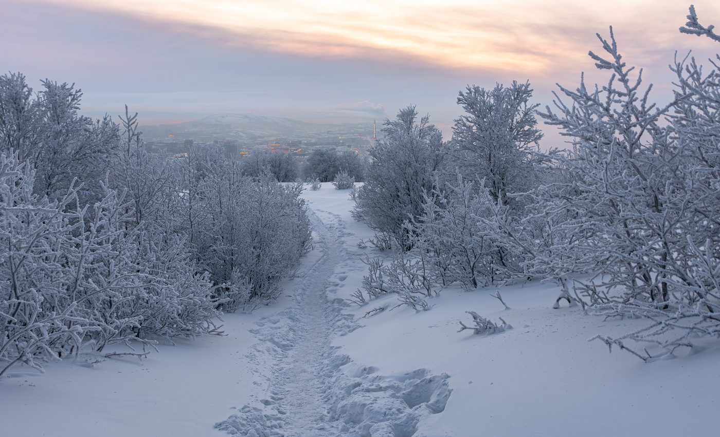 По проторенной дорожке