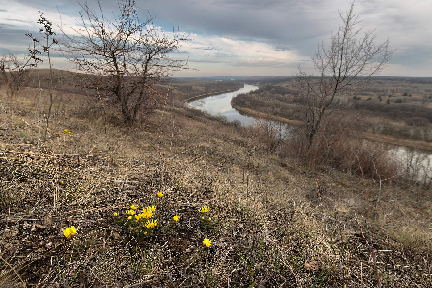 Адонис над рекой