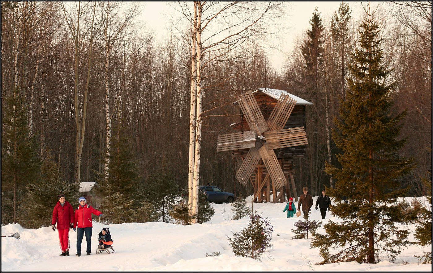 Прогулки в январе.
