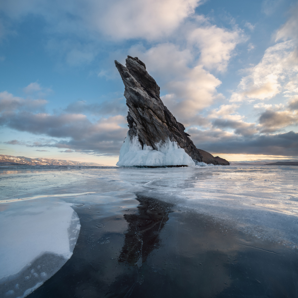 "Байкальское древо"