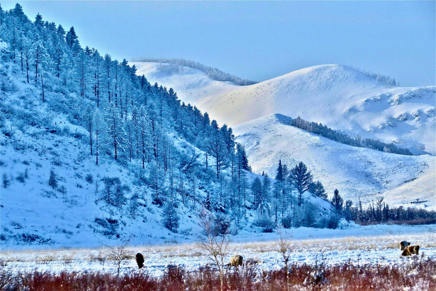 Меж отрогов Саянского горного хребта