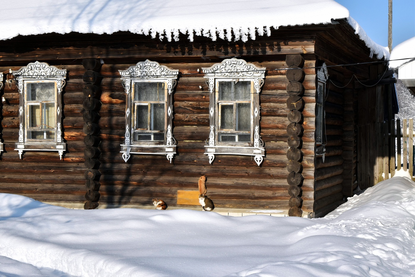 Хо-о-лодно...