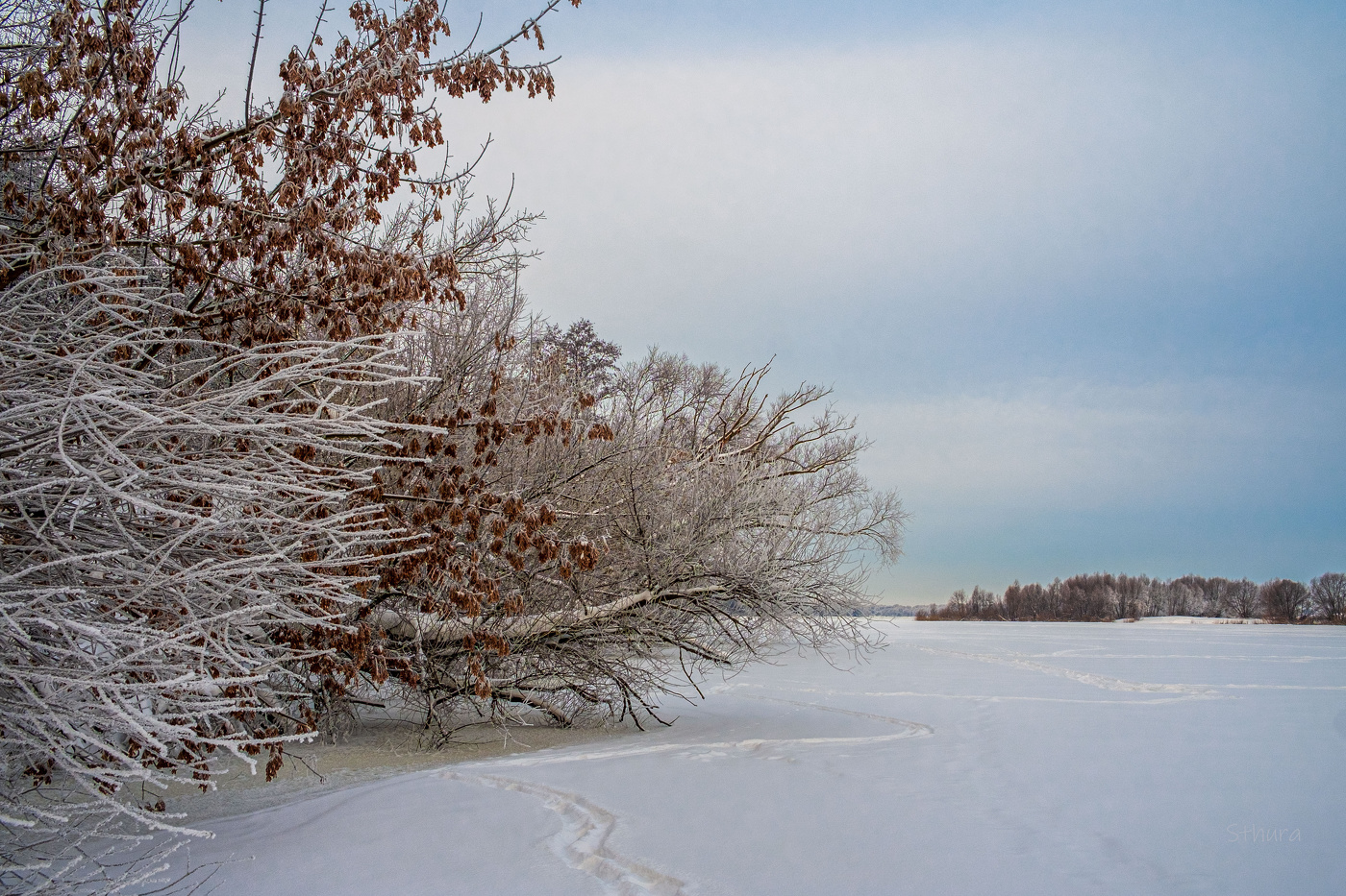 Зимний пейзаж.