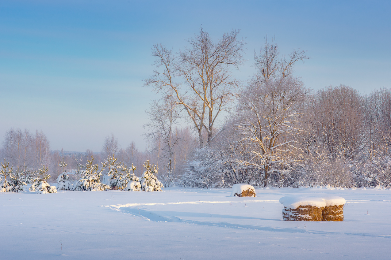 Тихое зимнее утро