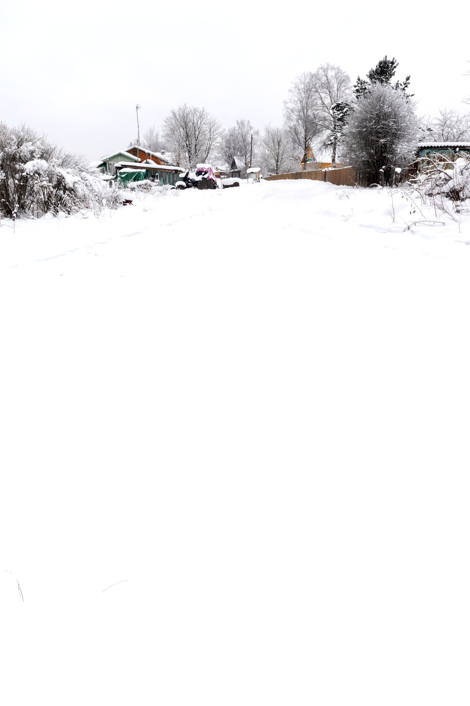 Пейзажизнь