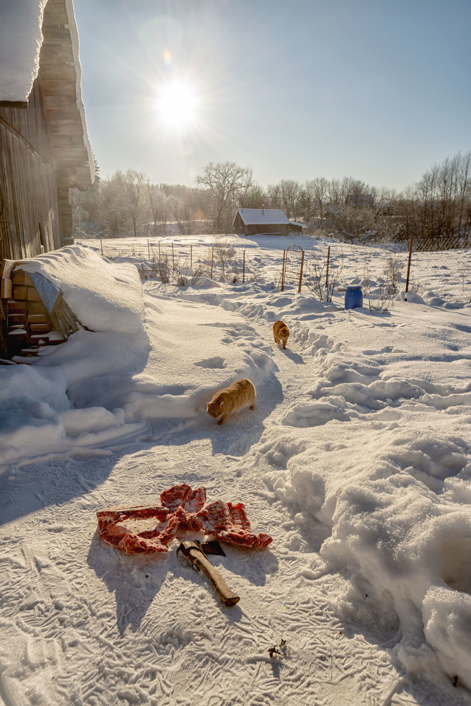 Жизнь вокруг