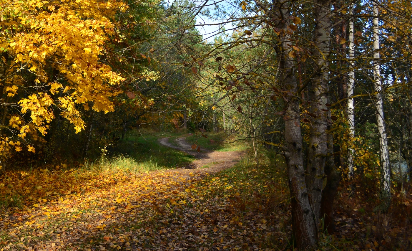 Осенний путь