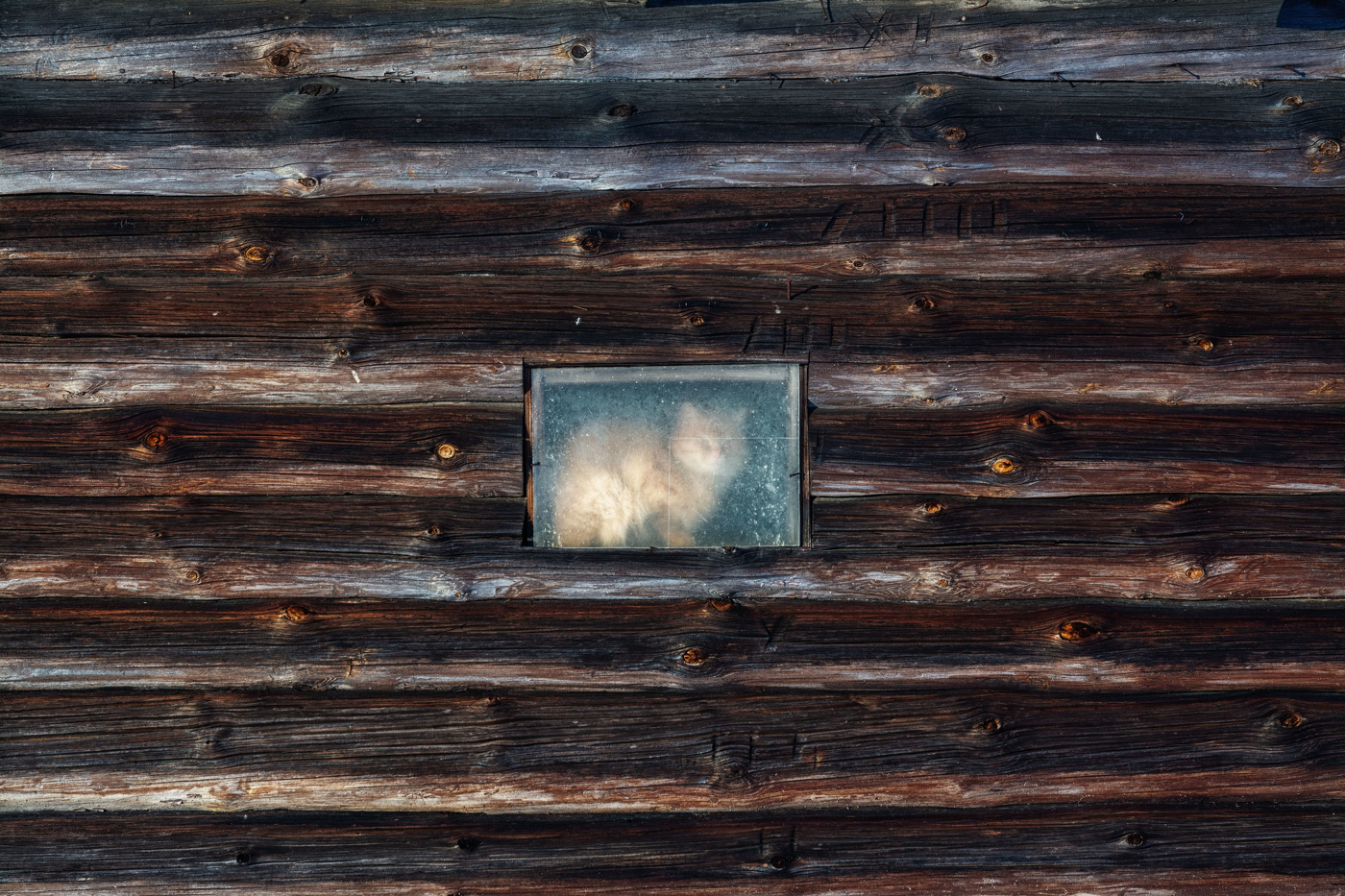 Жизнь вокруг