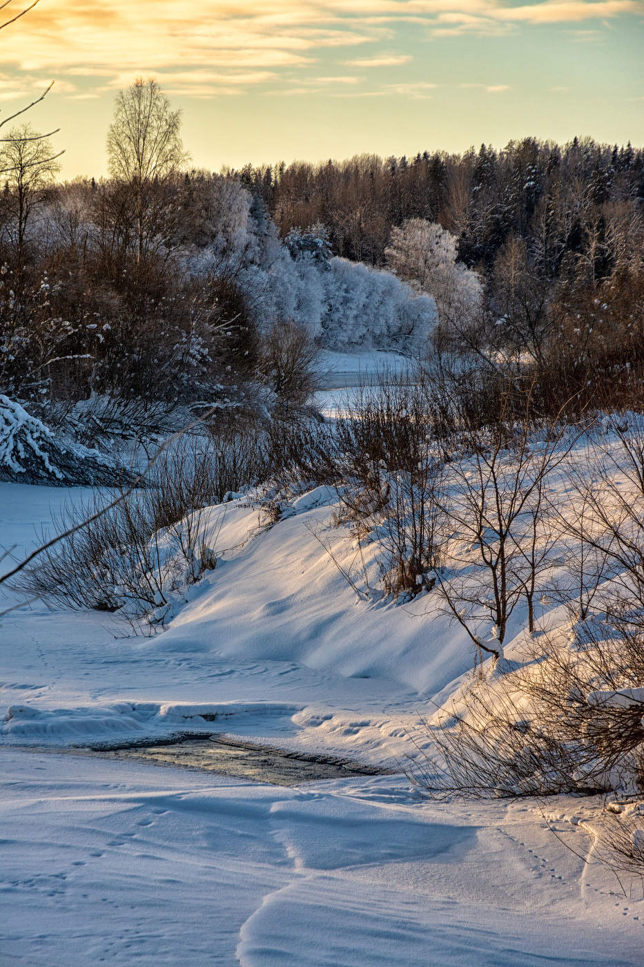 Жизнь вокруг
