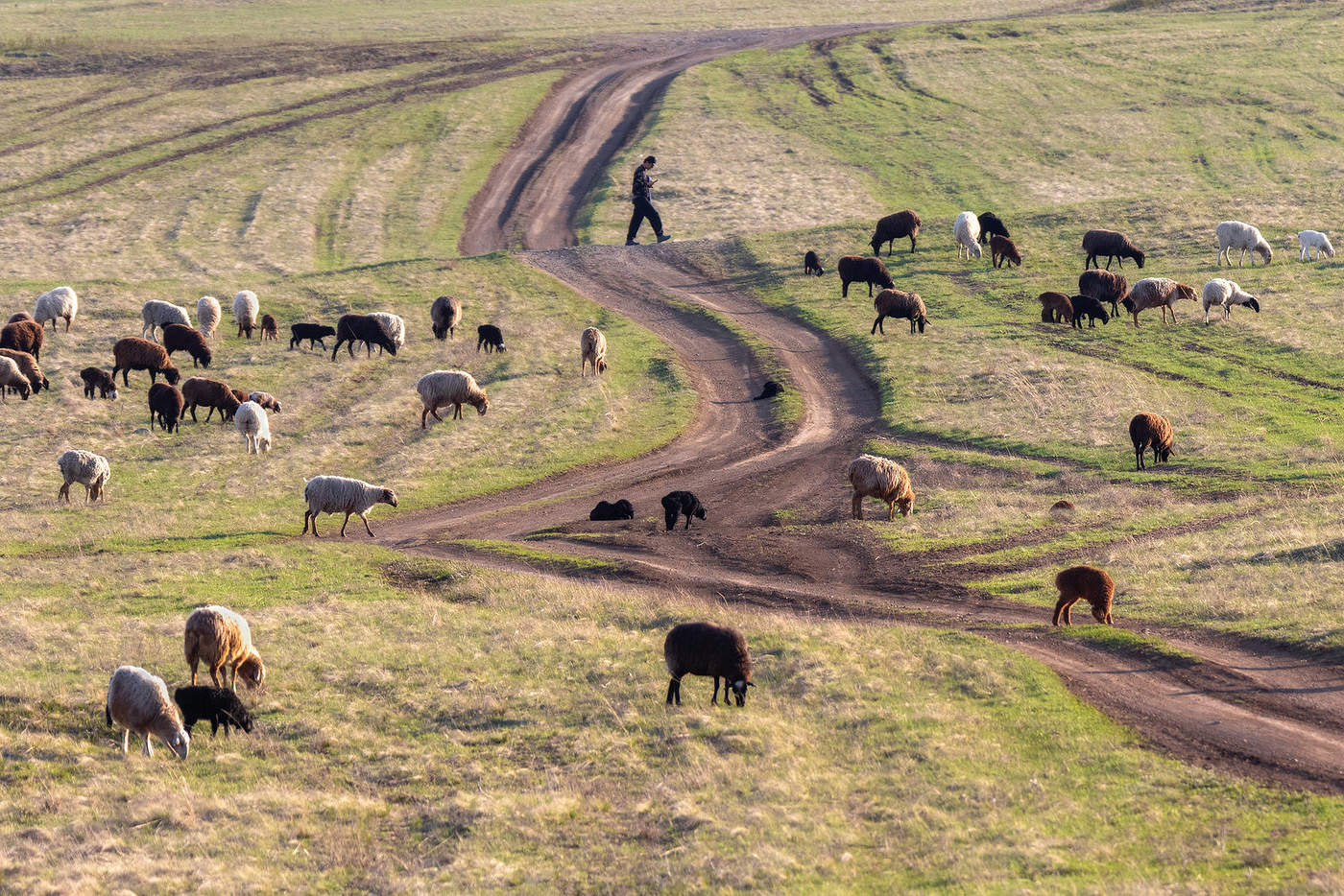 На свежей траве
