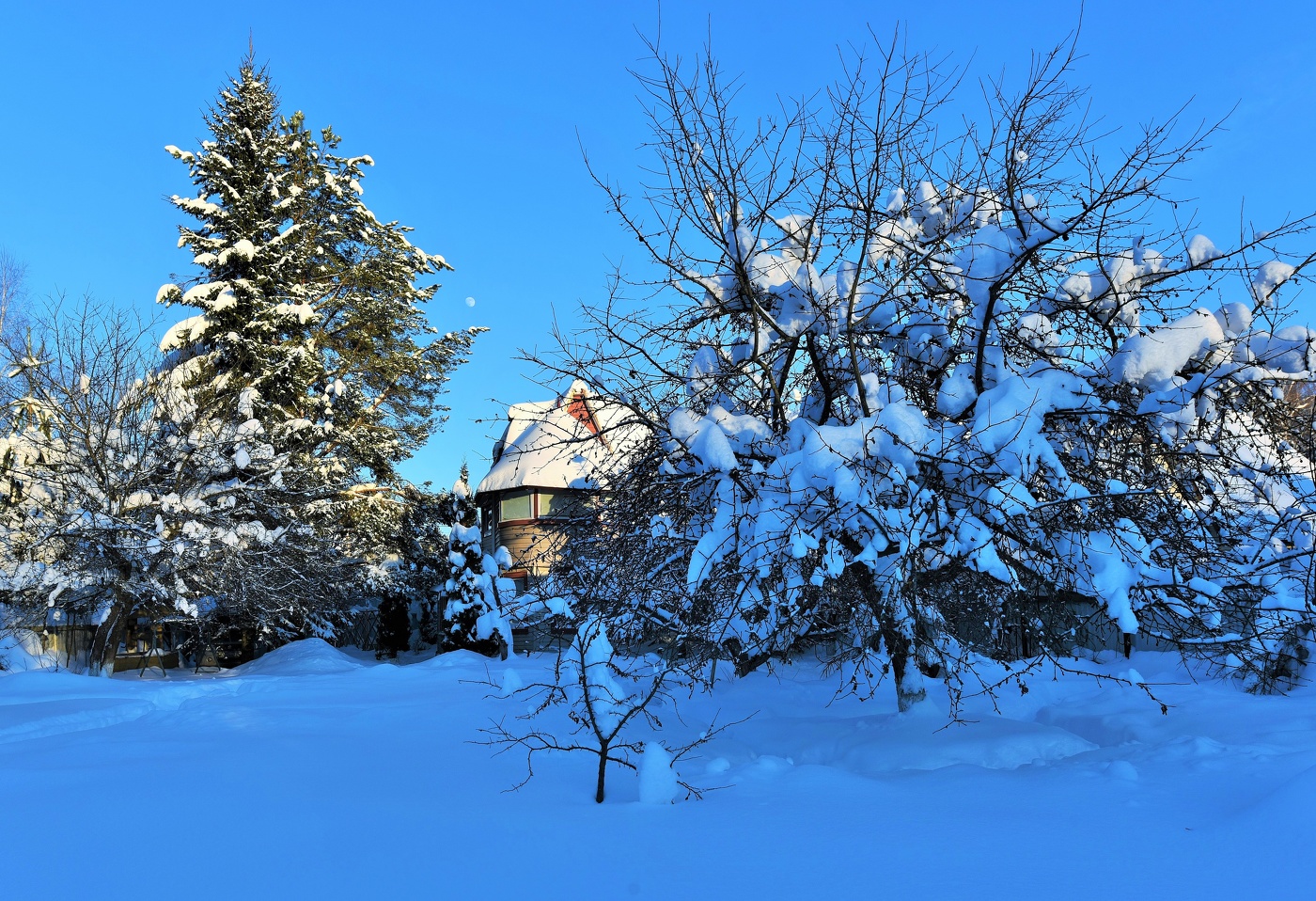 "Вдруг Афанасьевский мороз возник, а мы о нем забыли..."