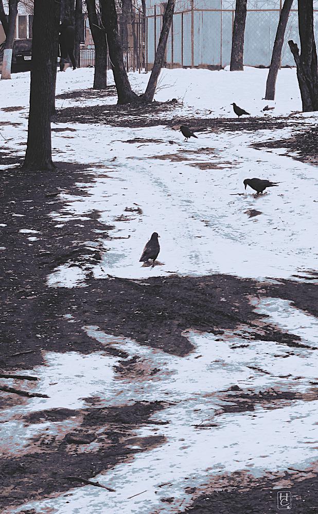 осталось недолго