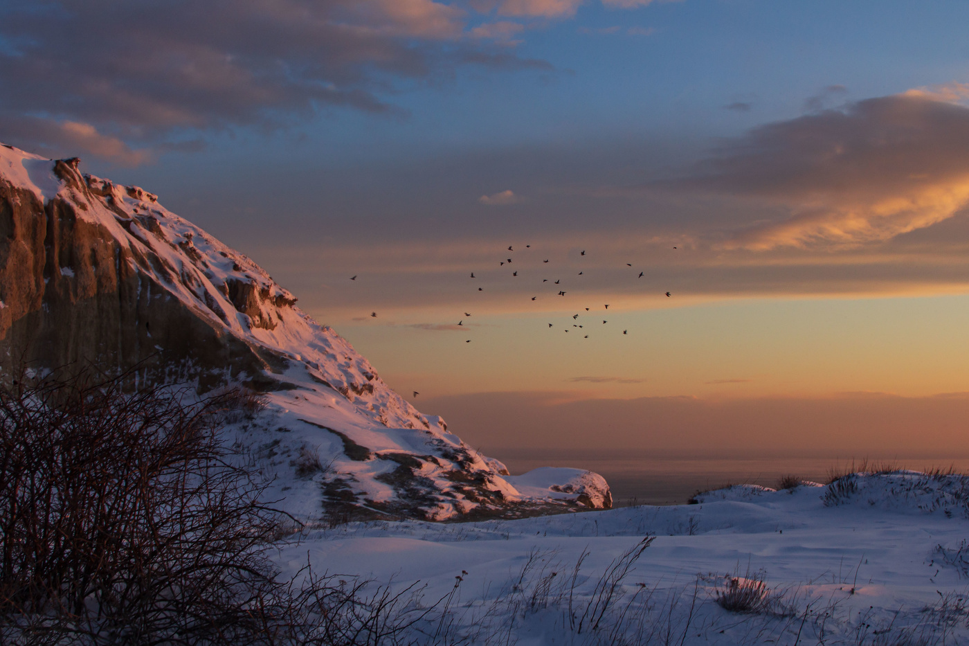 Белый снег и черные птицы