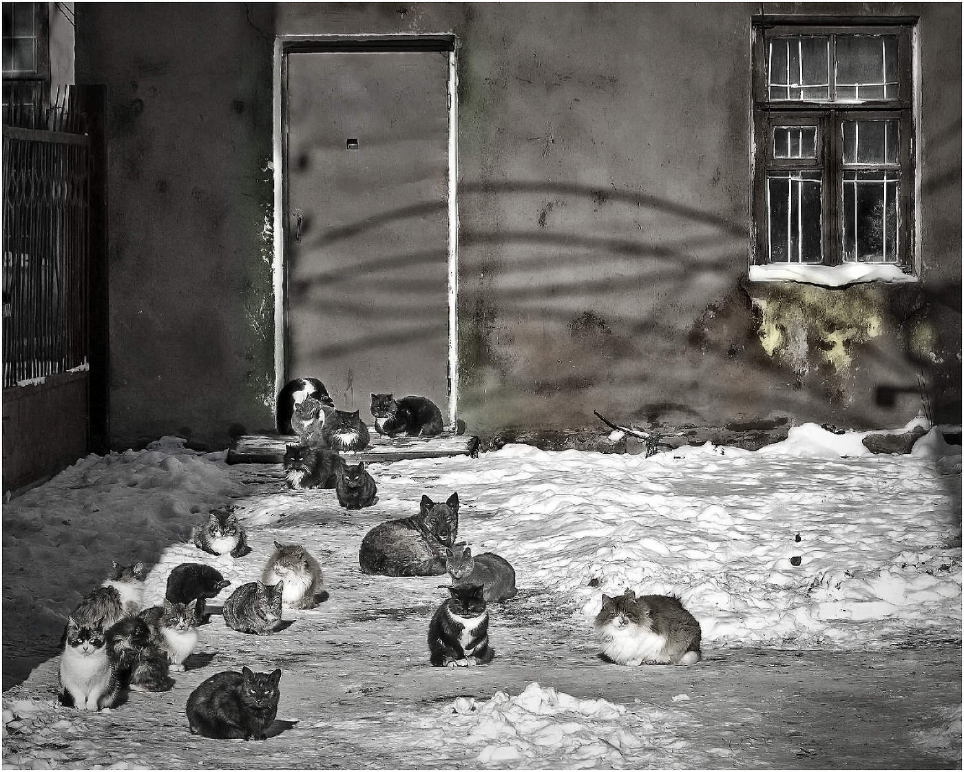 Под прикрытием