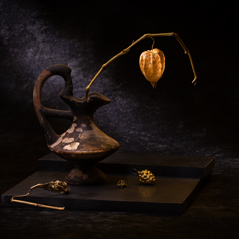 Этюд с физалисом VII