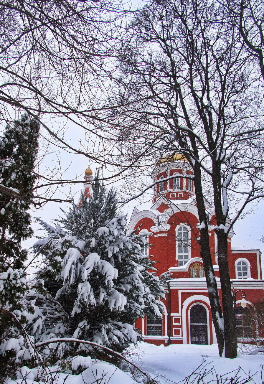 Рождественская звезда
