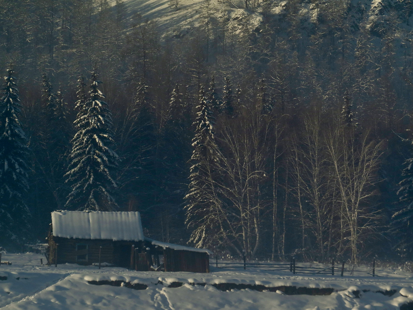 В первых лучах солнца