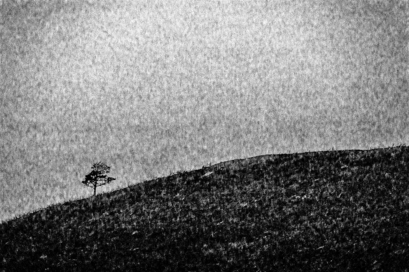 Жизнь вокруг