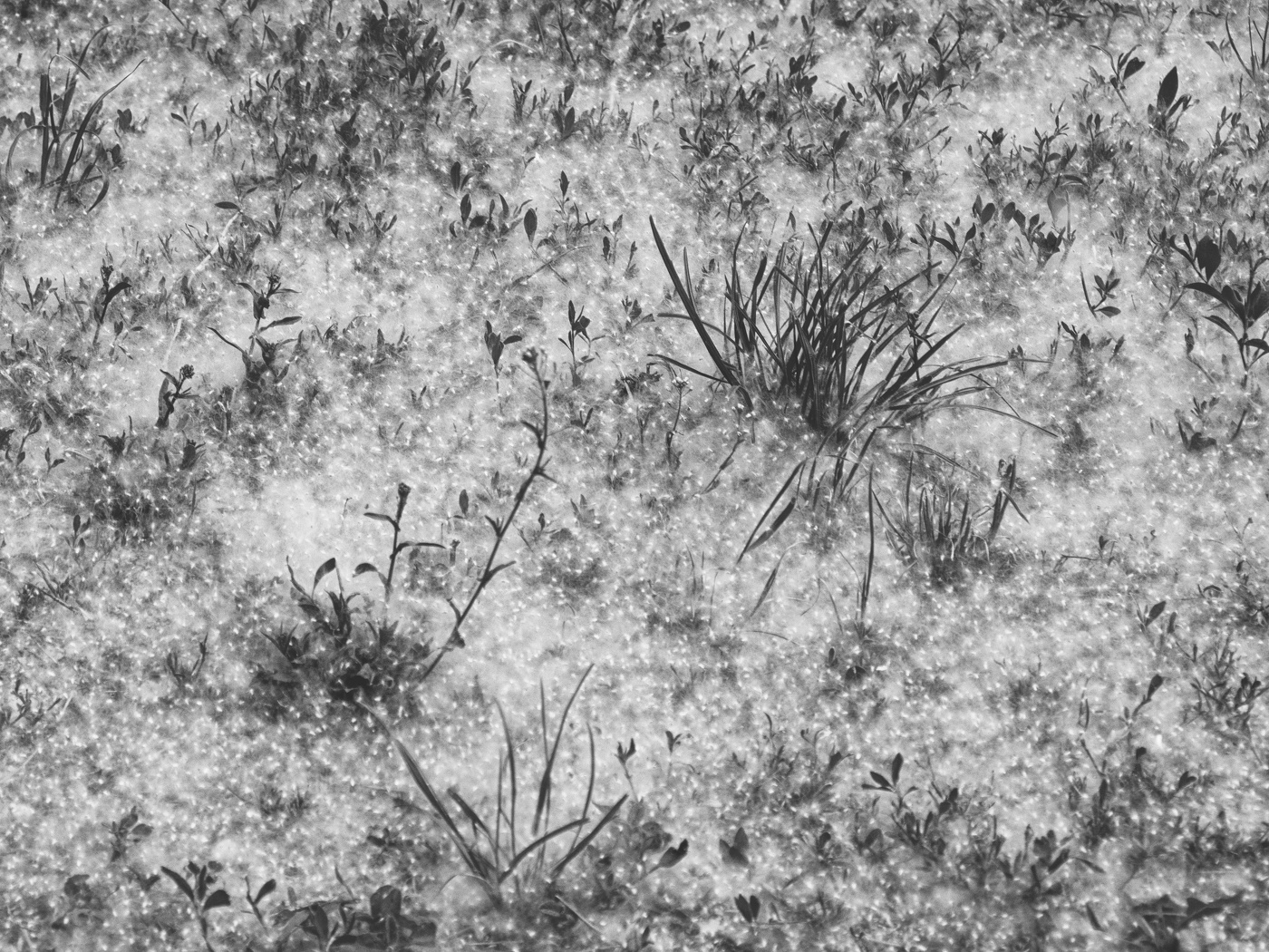 Жизнь вокруг