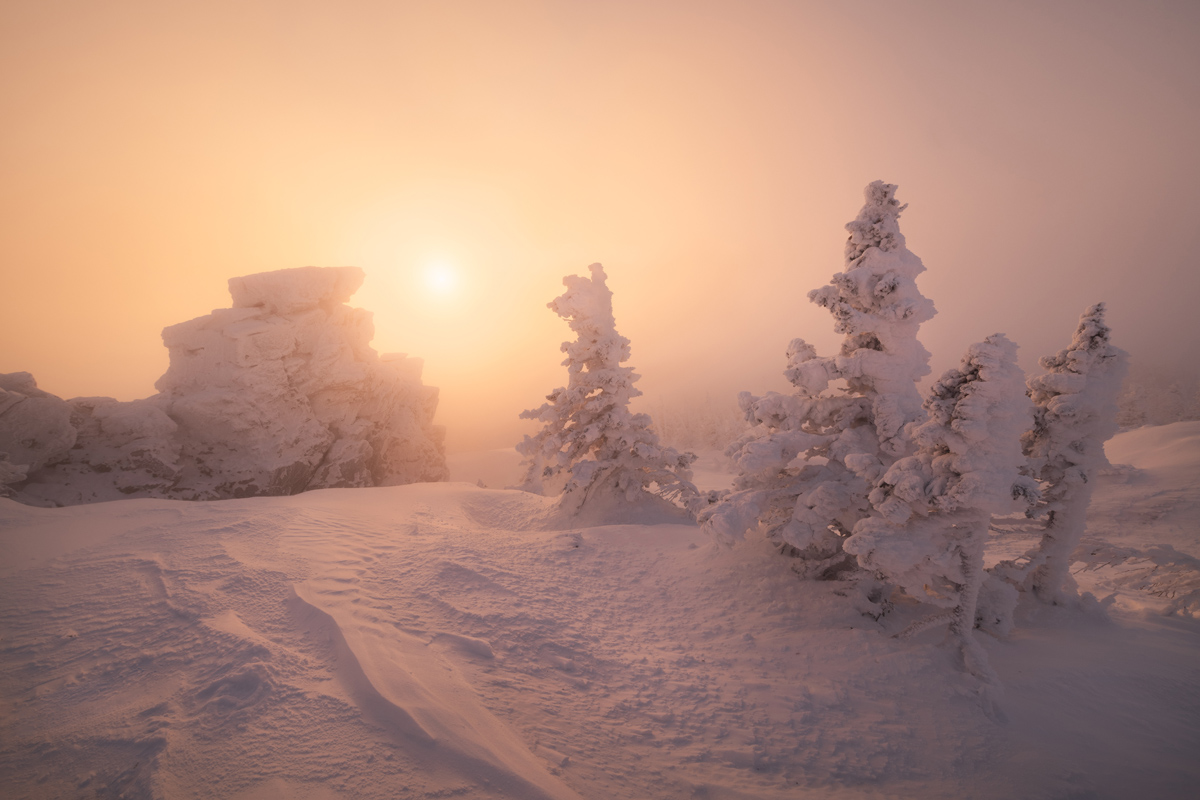 "Снежные ели и камни"