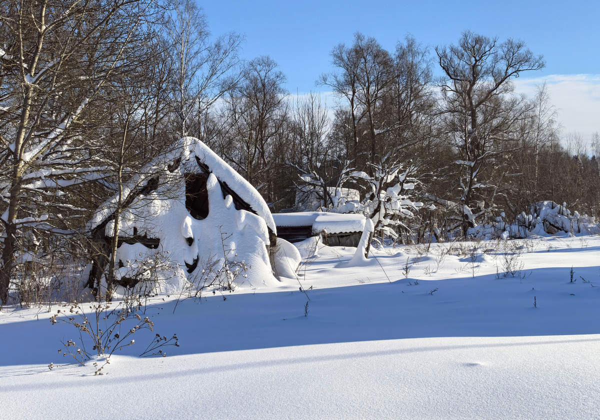 Снега нынче много...