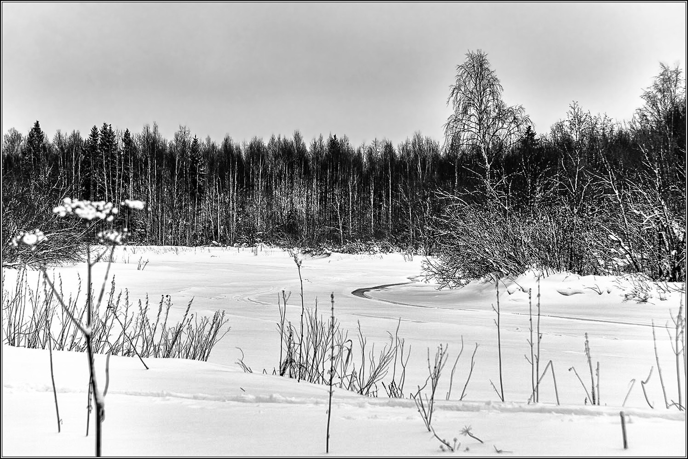 Февральский сумрачный денёк.