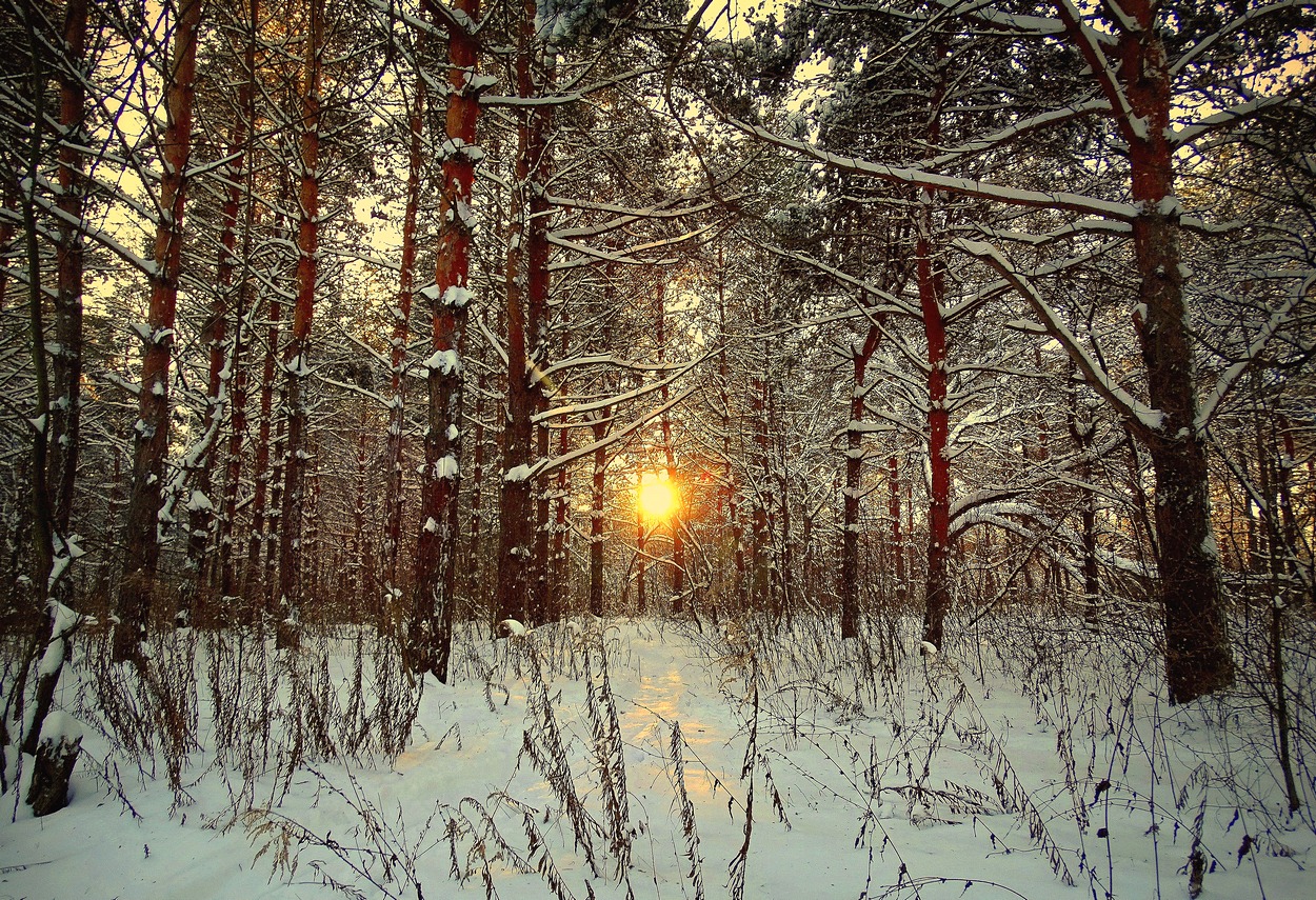 Зимнее солнце клонилось к закату