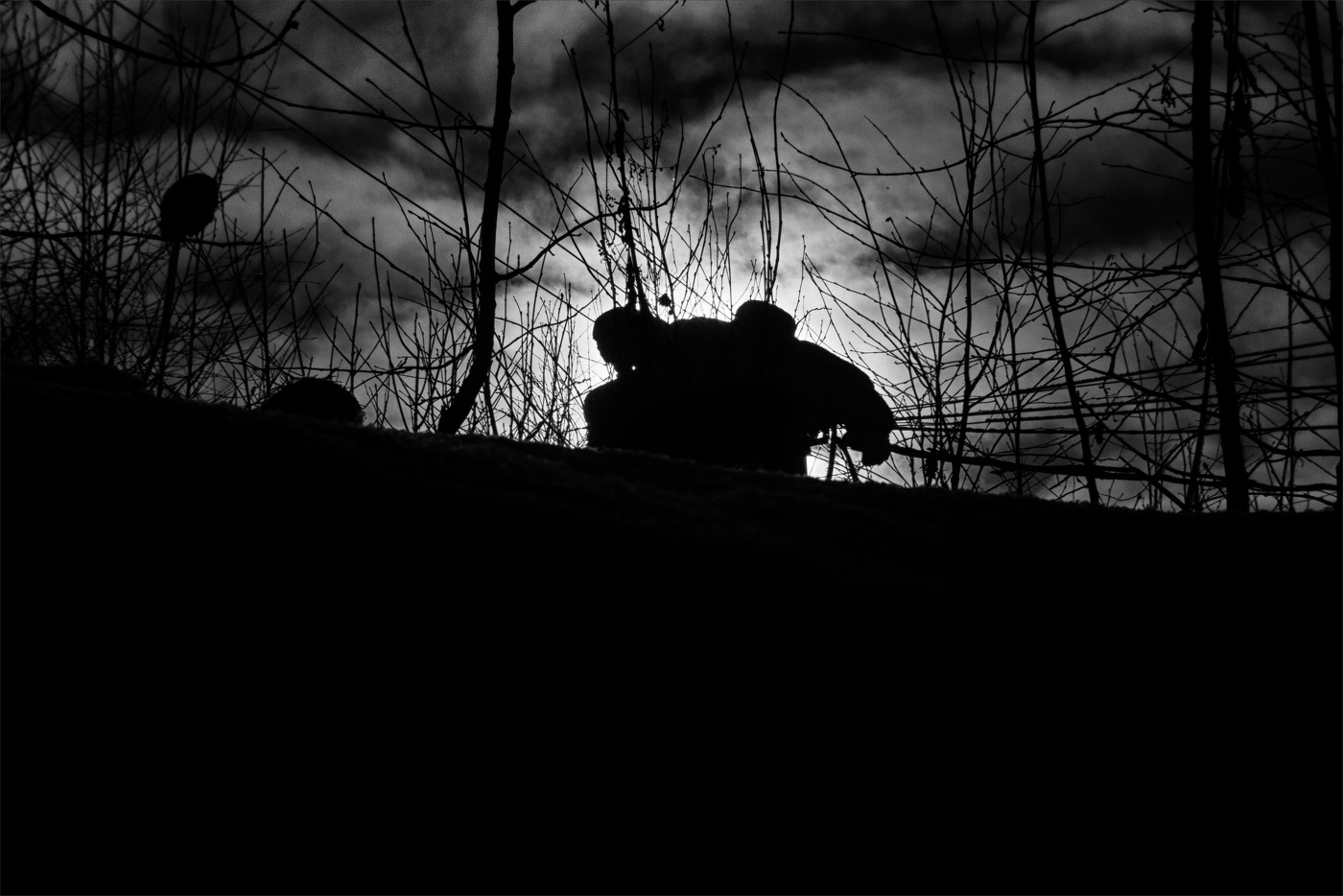 Жизнь вокруг