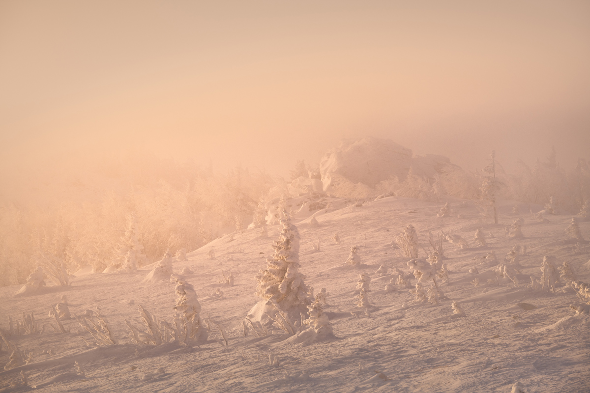 "Зимняя лесотундра Таганая"