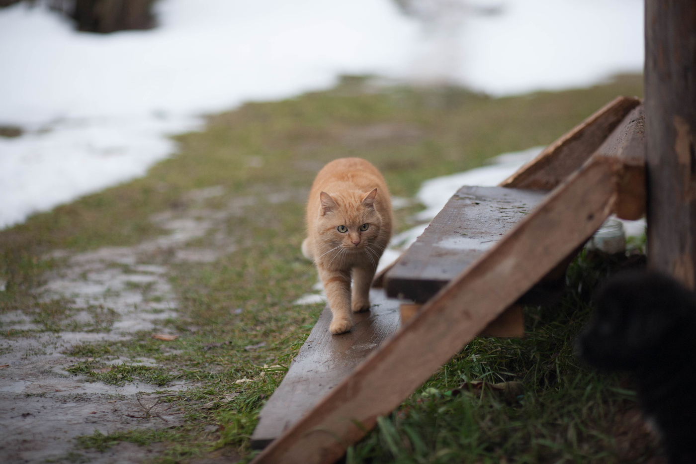 Охота на врага