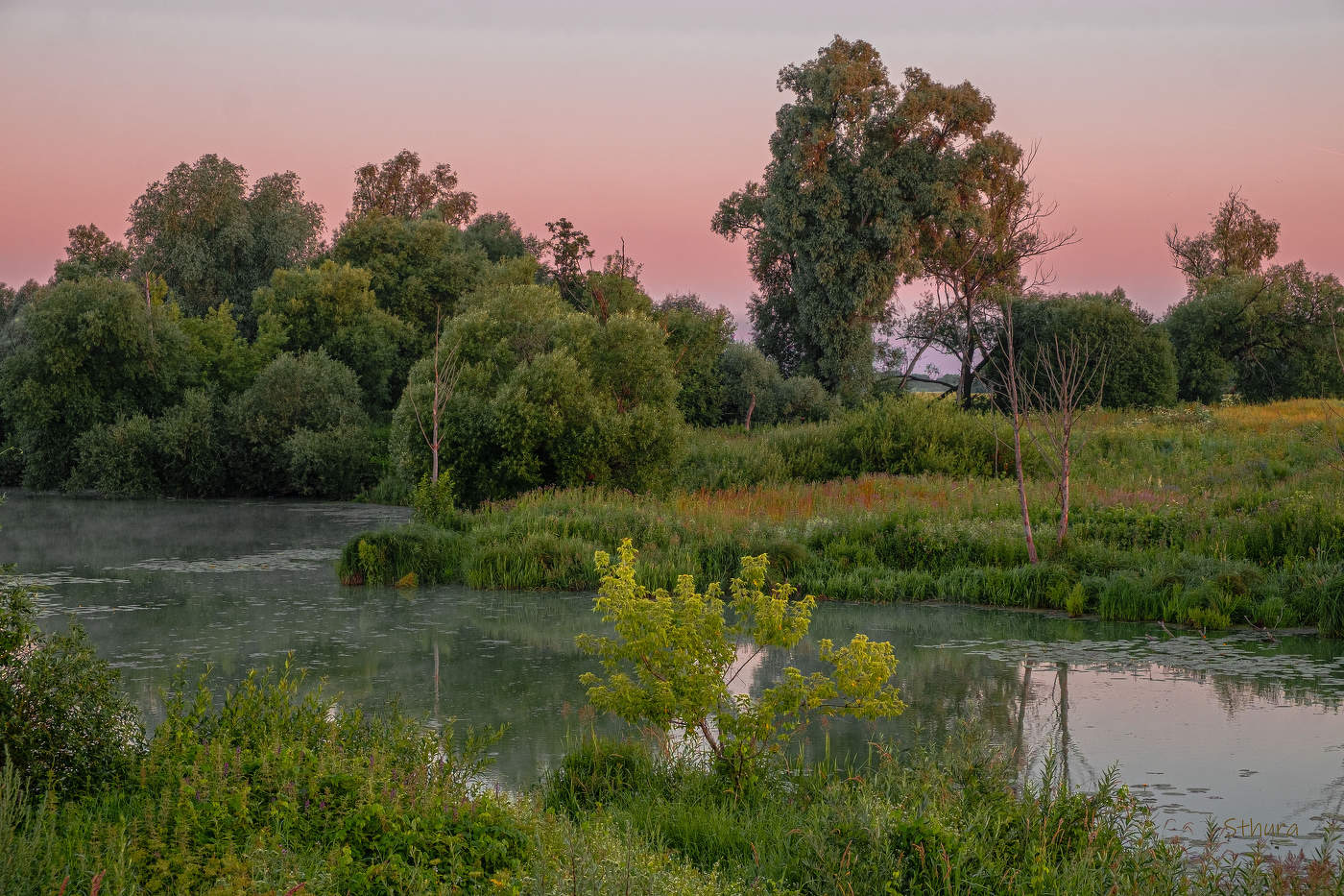 Летнее утро.