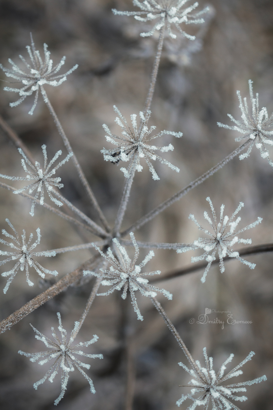 Зима рисует свои узоры...