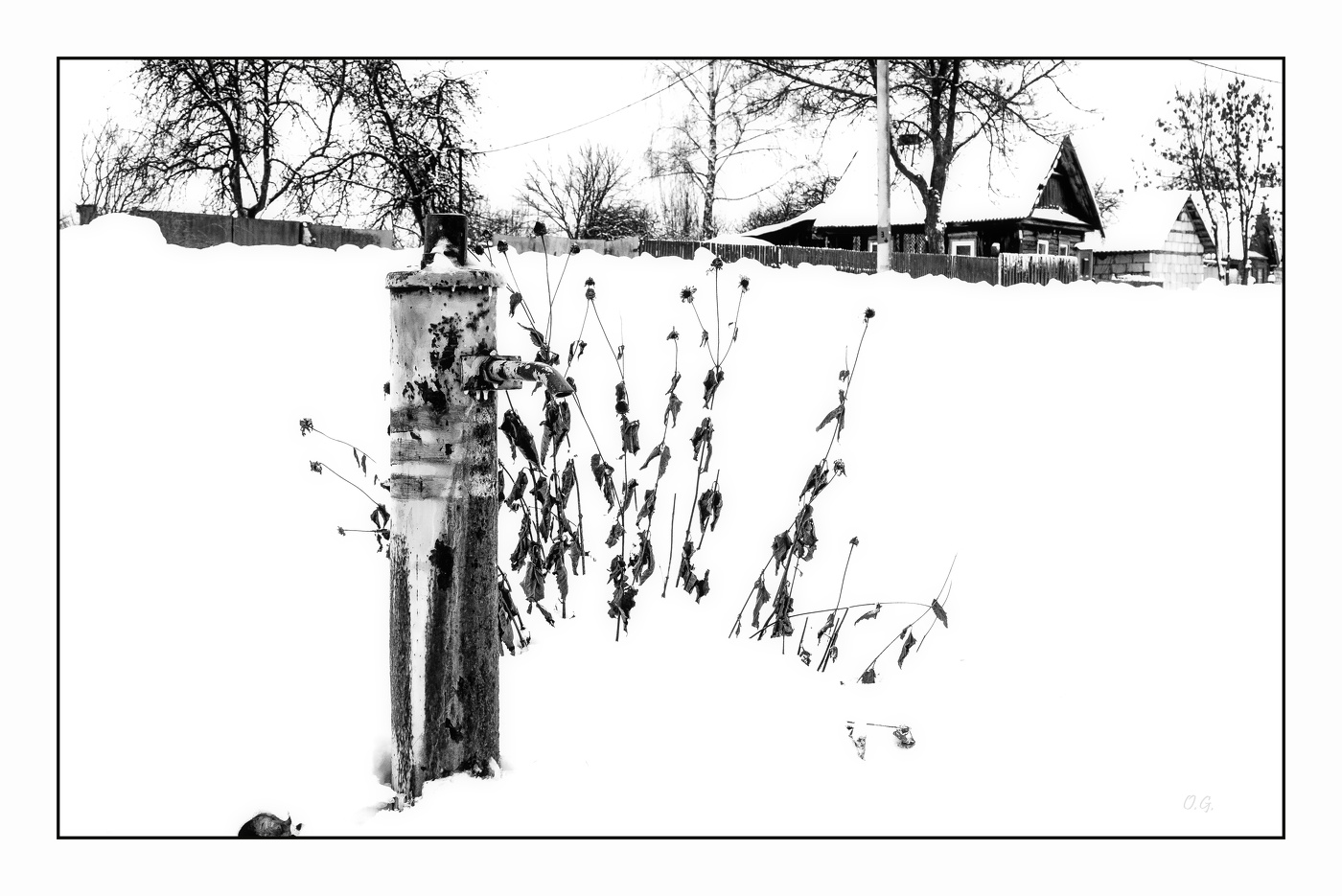 Ледяной сон