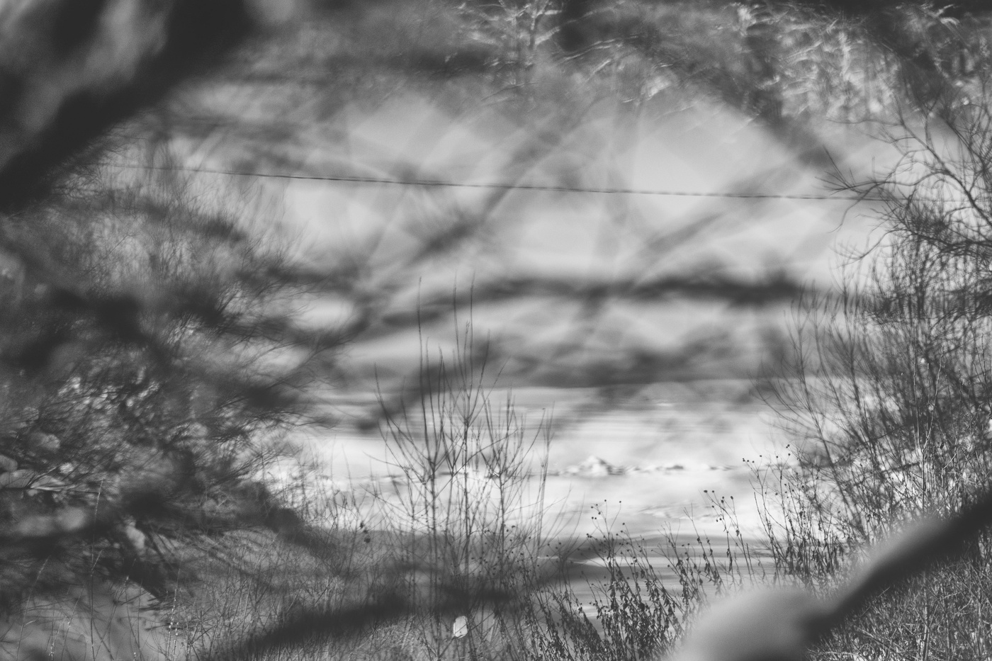 Жизнь вокруг