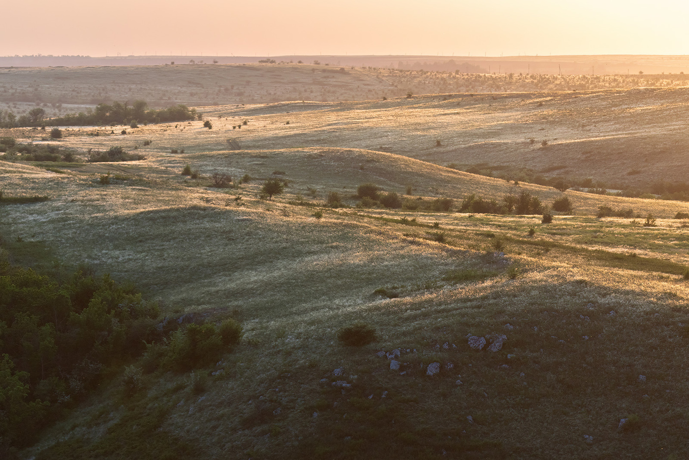 На ковыльных просторах