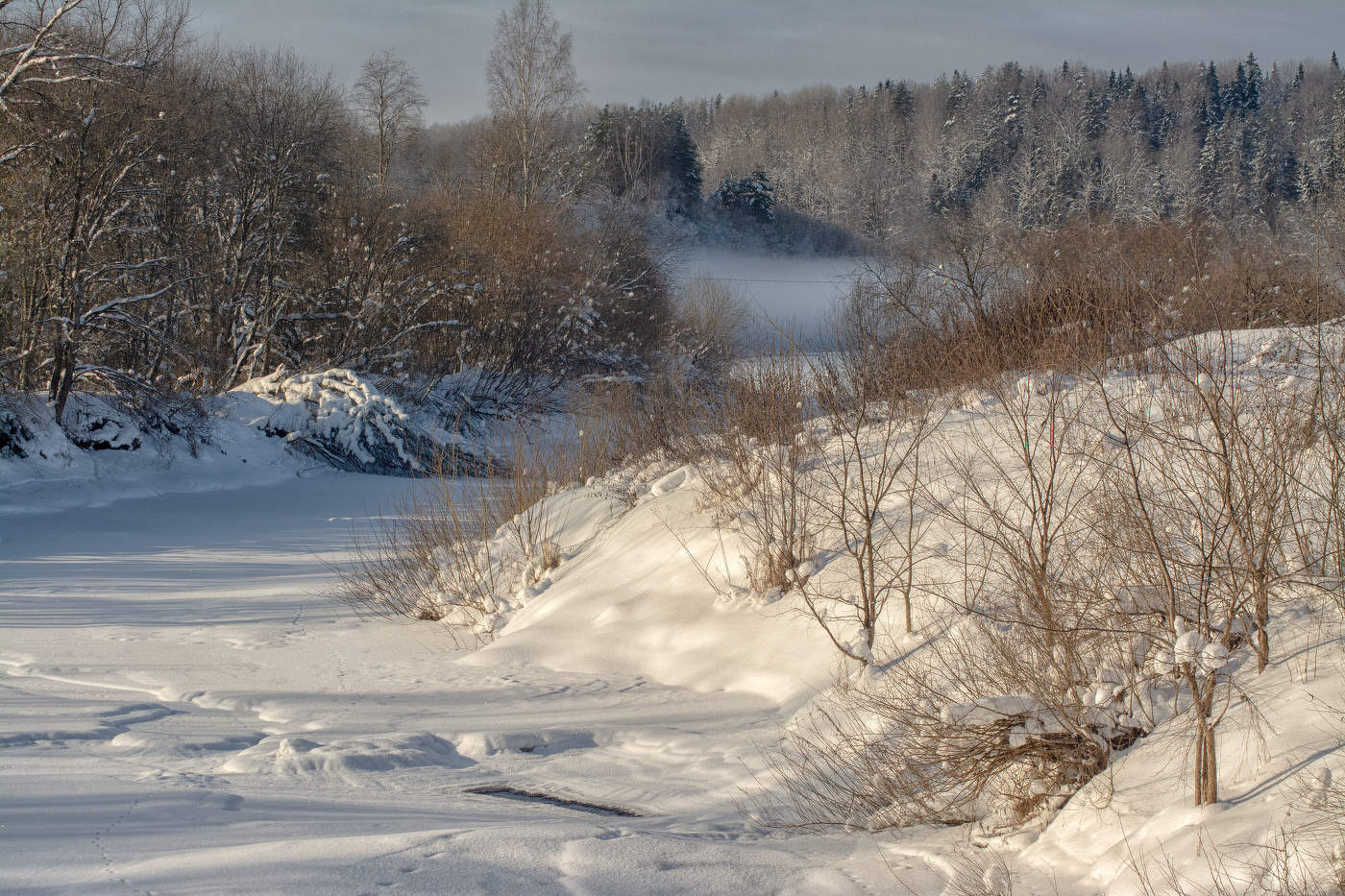 Жизнь вокруг