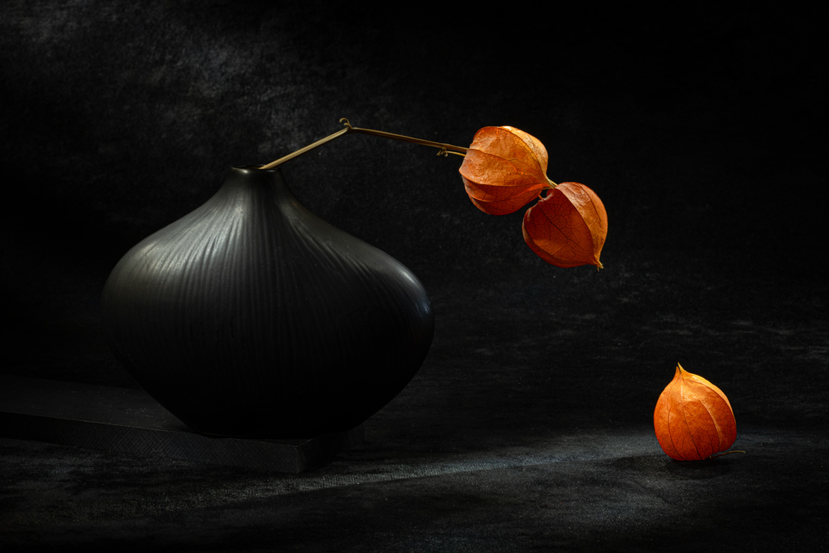 Этюд с физалисом VIII