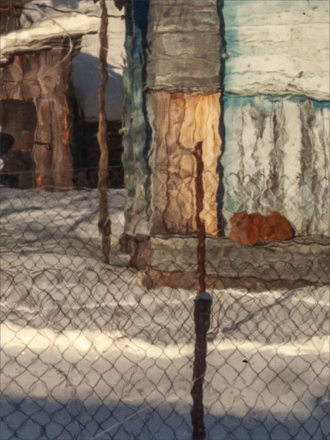 Пейзажизнь