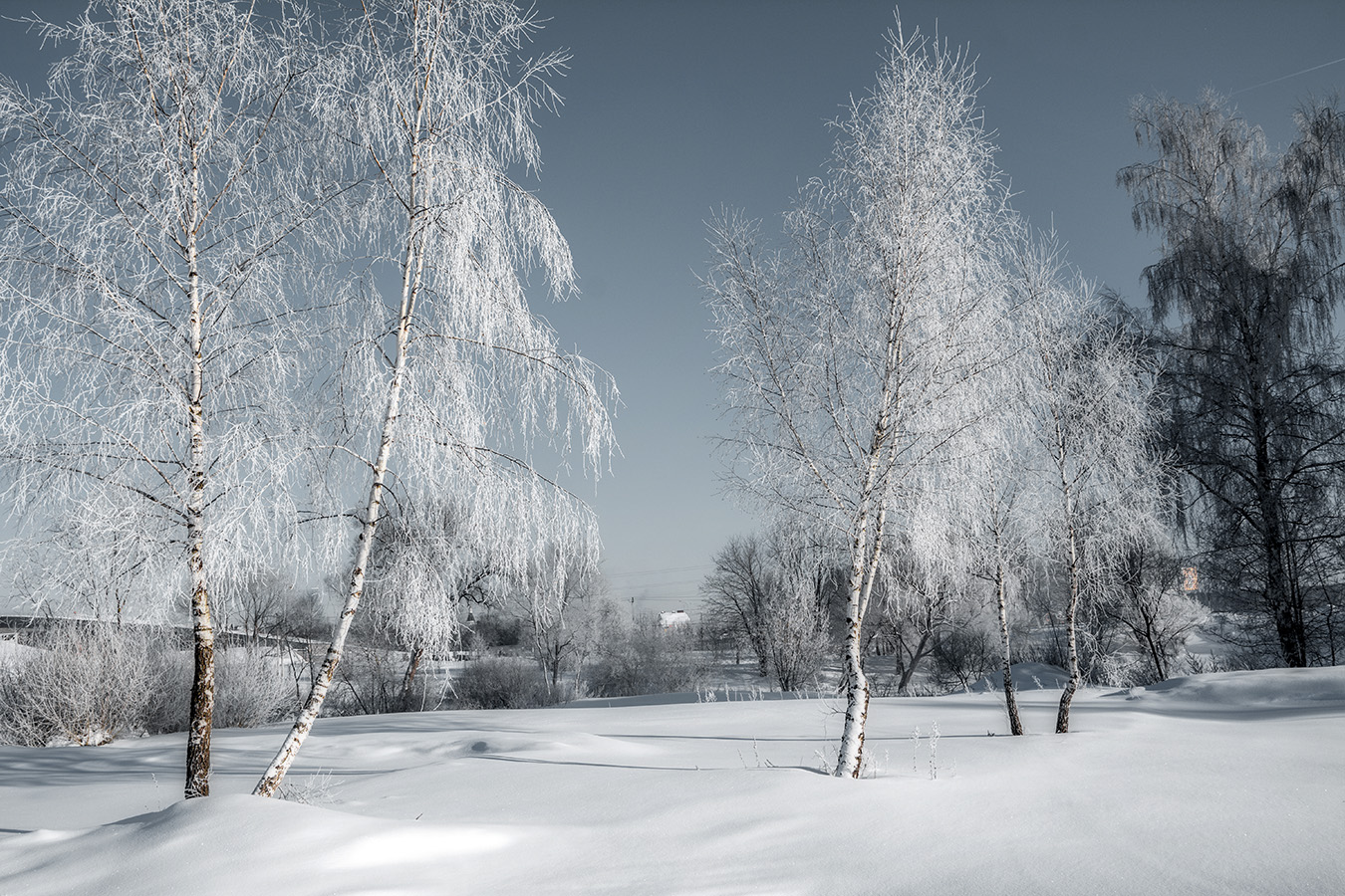 Тут моя деревня...